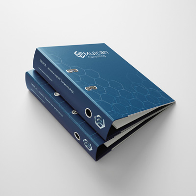 Mulcan Consulting Projekt segregatora