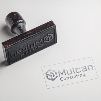 Mulcan Consulting Projekt segregatora