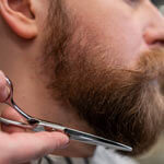 Broda Zagłoby Opinie-1